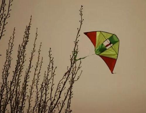 断了线的风筝,追寻自由的轨迹