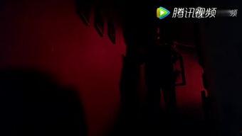 七年风暴,风雨洗礼下的坚韧与重生